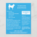 Suche nach hundewanderung flyer Hundeschwalker