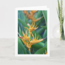 Suche nach herzliches beileidskarten Blume