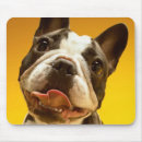 Suche nach der französischen bulldogge mousepads Haustier