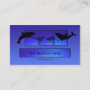 Suche nach dolphins visitenkarten Delphine