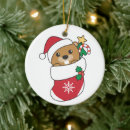 Recherche de castor de noël Castors