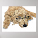 Suche nach stella poster Hund