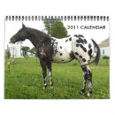 Recherche de chevaux de deux calendriers Appaloosa