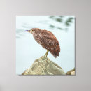 Suche nach profil leinwandbilder Tierwelt
