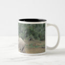 Recherche de public domain tasses Nature