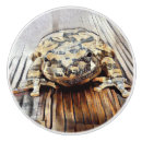 Recherche de grenouille boutons et poignées de porte Illustration