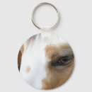 Suche nach wildleder accessoires Pferd