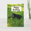 Recherche de compteur photographie Anniversaire
