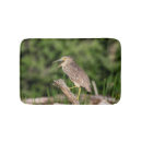 Recherche de héron de nuit Faune