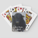 Suche nach stier spielkarten Cowboy