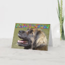 Suche nach flippiger geburtstag karten Bunt