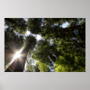 Suche nach humboldt poster Kalifornien
