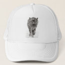 Recherche de loups casquettes Sauvage