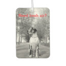 Recherche de chien photographie Dogs