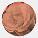 Suche nach vintage rose aufkleber Natur