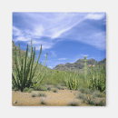 Suche nach organ magnete Arizona