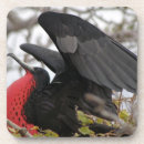 Suche nach ecuador untersetzer Vogel
