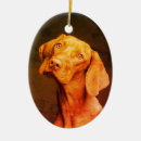 Suche nach vizsla ornamente Ungarischer zeiger