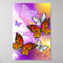 Suche nach monarchfalter poster Orange