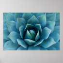 Suche nach agaven poster Natur