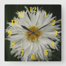 Recherche de fleurs blanches horloges Pour tous
