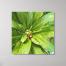 Suche nach sonnige leinwandbilder Blume