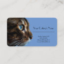 Recherche de visages cartes visite Administrative professional