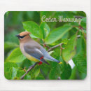 Recherche de cire tapis souris Nature