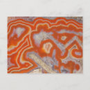 Recherche de science naturelle cartes postales Personne