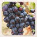 Recherche de vin rouge dessous de verres Vignoble