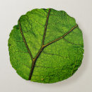 Recherche de macro maison deco Closeup