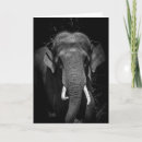 Recherche de tronc vœux cartes Éléphant