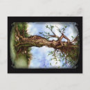 Suche nach elm postkarten Fee