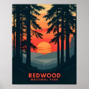 Suche nach redwood poster Mammutbaum