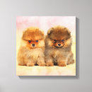 Suche nach hunde spitz kunst Niedlicher hund