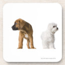 Recherche de vue face dessous de verres Nature
