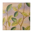 Suche nach brauner hintergrund fliesen Grün