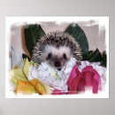 Recherche de hedgehog posters Hedgie