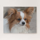 Recherche de chiot papillon puzzles Animal