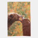Recherche de ours petits table linges Cuiller