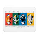 Suche nach hexerei magnete Hahnenkünste