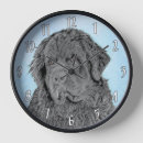 Recherche de terre neuve horloges Pour tous