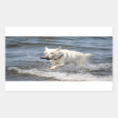 Suche nach weißes schaf aufkleber Hund