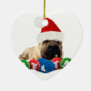 Suche nach shar pei ornamente Verzierung