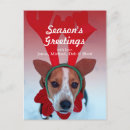 Recherche de chien neige cartes postales Humour