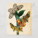 Recherche de nu cartes postales Fleurs