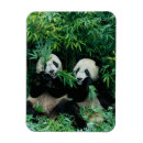 Suche nach essen magnete Nahrung