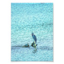 Recherche de penseur posters Nature
