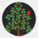 Suche nach roter vogel aufkleber Baum