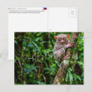 Recherche de bohol cartes postales Tarsier